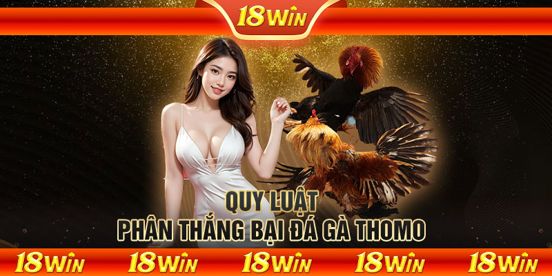 Quy luật phân thắng bại đá gà Thomo