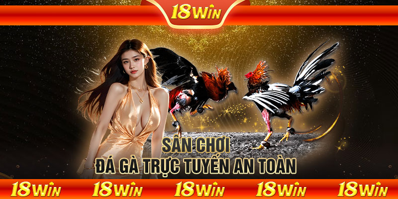 Sân chơi đá gà trực tuyến an toàn