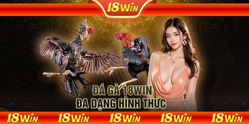 Đá gà 18WIN đa dạng hình thức 