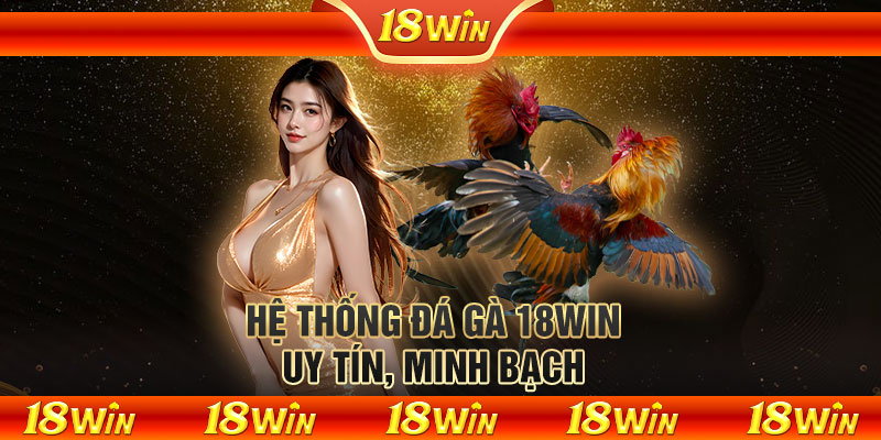 Hệ thống đá gà 18WIN uy tín, minh bạch