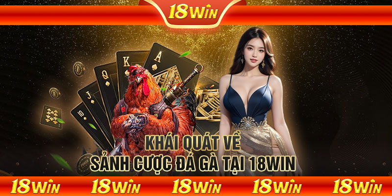 Khái quát về sảnh cược đá gà tại 18WIN